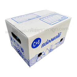 กล่องพัสดุ ฝาชน เบอร์ C+9 (ผลไม้) 20x30x20 ซม.(5 ชั้น)